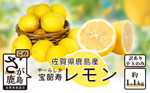 A-140【訳あり】低温蔵出し 宝韶寿レモン 約1.2kg（小玉のみ）ノーワックス