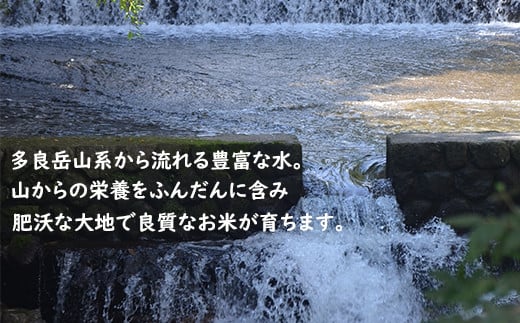 D-30【令和5年産米】１等米 鹿島市産夢しずく 白米２０ｋｇ