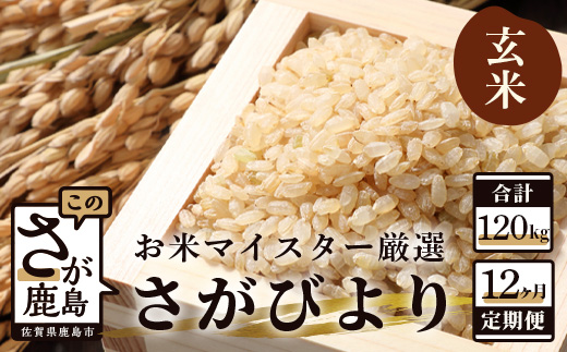 定期便 12ヶ月 佐賀県産 さがびより 玄米 10kg《12ヶ月連続 毎月お届け》S-2 12回