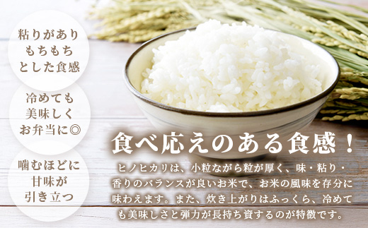 縲蝉サ、蜥7蟷エ逕」 縺顔アウ10kg(5kgテ2)|繝偵ヮ繝偵き繝ェ 逋ス邀ウ縲代千函逕」閠逶エ騾√大ケク縺帙→隨鷹。斐r螻翫¢繧句豌」縺ョ縺顔アウス應ス占ウ逵檎音蛻・譬ス蝓ケ霎イ逕」迚ゥス懷喧蟄ヲ霎イ阮ャ繝サ蛹門ュヲ閧・譁吩ク堺スソ逕ィス懈眠邀ウ 邊セ邀ウ 譛画ゥ溯ぇ譁 菴占ウ逵 鮖ソ蟲カ蟶 D-219