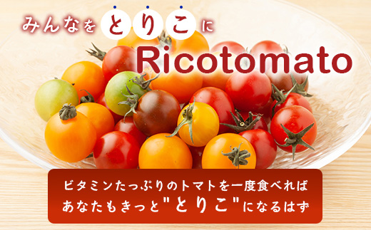 ãå
è¡äºçŽã ã«ã©ãã«ããããã ãå°éããã¯ã 120gx3pããã«ãã¡ãã¡ãŒã ã«ã©ãã«ããããã 360g ãšããã«ãªãããã éè ãšãŸãš ããã ãªã³ãã³ äœè³ç£ äœè³ç 鹿島åžãA-211