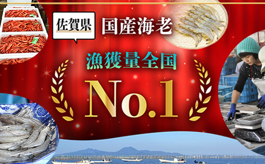 A-233 国産天然海老 有明海産 生芝エビ 刺身用 200g（100g×2パック）生食用 ｜化粧箱入り のし対応 贈答用 ギフト お中元 お歳暮 