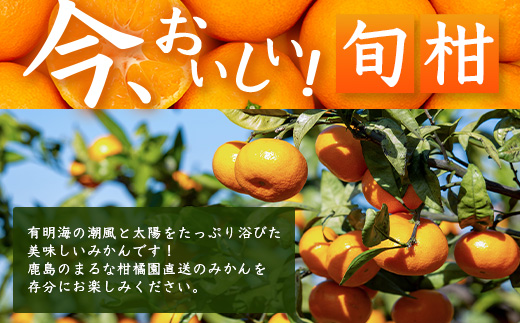 ãŸããª ææ©å㮠倧ç ã¿ãã çŽ9kg ãµã€ãº 3L (çŽåŸ9cmçšåºŠ)ä»¥äž ã2026幎1æä»¥éé
éäºå®ãéå³¶ã¿ãã ãã«ã³ èæ äœè³ç 鹿島åžç£ éæç¡æ B-262