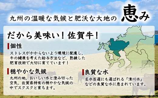 佐賀牛 赤身 角切り コロコロステーキ 500g サイコロステーキ 佐賀県産 もも モモブロック C-103