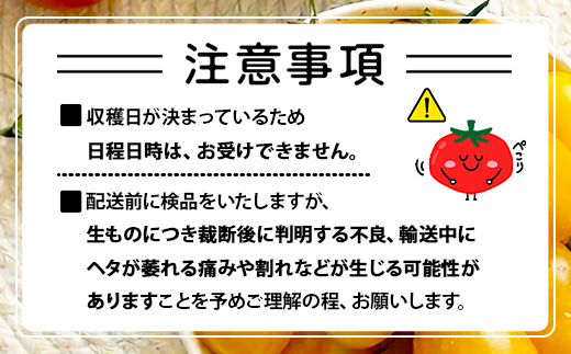 岩永さんちの カラフル ミニトマト | アイコ赤･黄MIX 1kg |【農林水産大臣賞受賞】有機肥料・化学肥料不使用 | 生産者直送 野菜 トマト 1kg とまと プチトマト サラダ やさい 旬 新鮮 おやつ お弁当 人気 佐賀県 鹿島市 B-893