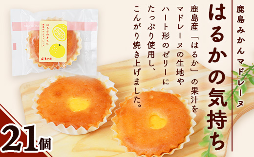 【赤門堂の焼菓子】はるかのきもち 21個 マドレーヌ 焼き菓子 焼菓子 お菓子 郷土菓子 ご当地スイーツ 焼き菓子 焼菓子 贈物 プレゼント ギフト 贈り物 お土産 おやつ B-641