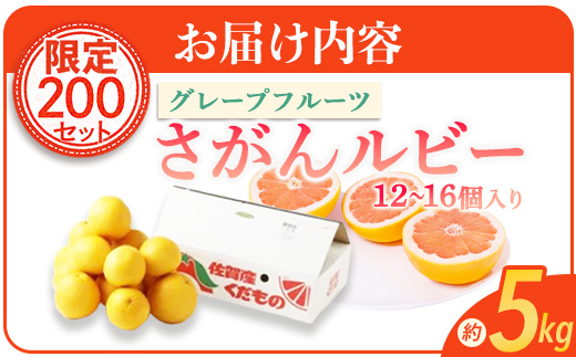 数量限定【先行予約】日本初！幻の国産グレープフルーツ！【さがんルビー 5kg（中玉12～16個）】メディアも注目◆ジューシー柑橘｜柑橘 果物 フルーツ 生産者直送の安心品質 【3月下旬頃より順次発送予定】佐賀県 鹿島市 送料無料 B-2