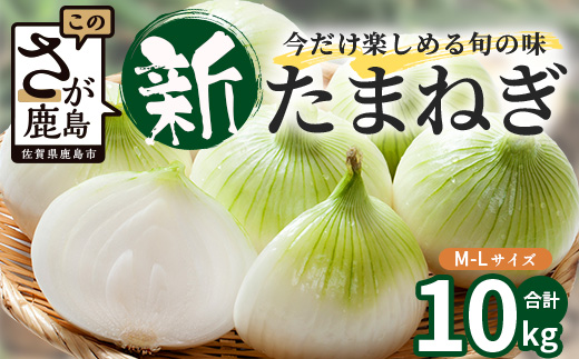 甘～い！新鮮！新たまねぎ 約10kg (MLサイズ）生産者直送！★大自然育ち【2026年4月より順次発送】タマネギ 玉葱 新タマ 新玉ねぎ サラダ 惣菜 お料理 ストック 箱買 美味しい 甘い 常備野菜 佐賀県 鹿島市産 人気 送料無料 B-737