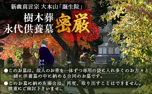 樹木葬永代供養墓「密厳」　佐賀県 鹿島市 鹿島 誕生院 お寺 寺院 樹木葬 永代供養 宗教 宗派 檀家 墓じまい 管理費不要　V-61
