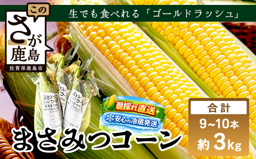 予約受付 スイートコーン （ゴールドラッシュ）9~10本 | 朝採れ 冷蔵発送 とうもろこし トウモロコシ コーン 野菜 高糖度 春 夏 旬 鹿島市産 佐賀県産 【2026年5月中旬～順次発送】佐賀県 鹿島市 人気 C-180