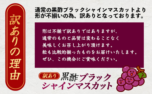 訳あり ブラック シャインマスカット 富士の輝き 1房 700g以上 かねひろ 黒酢【先行予約】【2026年8月下旬～9月下旬発送予定】糖度20～25度 甘くてびっくり！ お試し 家庭用 フルーツ 果物 ぶどう 葡萄 生産者直送 ふるさと 佐賀県 鹿島市 送料無料 B-909
