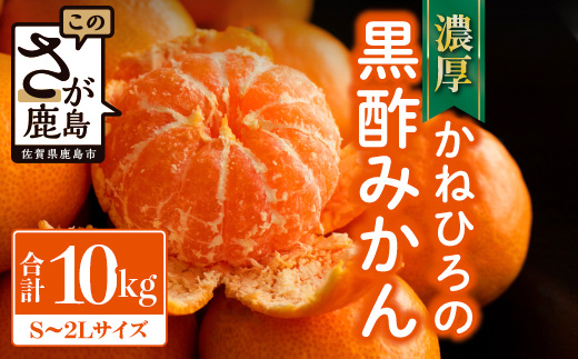 かねひろの黒酢みかん【10kg S～2L サイズ別】先行予約《11月下旬～1月上旬頃発送予定》温州みかん ふるさと納税 みかん 10kg 少量 大容量 フルーツ 甘い ジューシー 果物 蜜柑 お取り寄せ 農家直送 国産 九州 佐賀県 鹿島市 送料無料 B-911