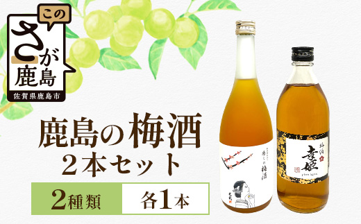 【梅酒セット】鹿島の梅酒2本セット 【光武 癒しの梅酒 720ml 1本】・【幸姫梅酒 500ml 1本】B-811