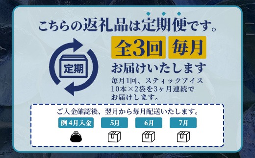 【3回定期便】さがん氷【かちわり氷】スティックアイス【10本×2セット】藤津製氷 氷 天然水使用 角氷 かき氷 多良岳山系 お試し 小分け氷 お酒 焼酎 リキュール サイダーと一緒にさがん氷 D-280