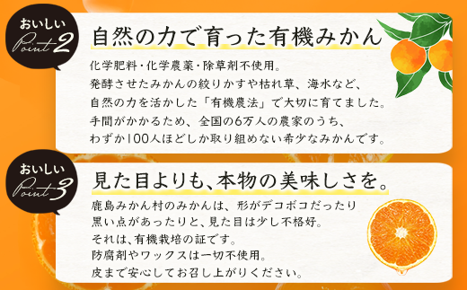 B-23 ＼希少なオーガニック果汁／ 有機温州みかんジュース 200ml×10本（合計2L） 無農薬・無添加 ストレートジュース 健康志向◎ 安心安全の自然派ジュース 九州 佐賀県鹿島市産 人気・美味しい 本物の味　送料無料