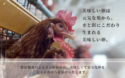 【鹿島市産のたまご】肥前のおいしい赤たまご　６０個（５５個＋破損補償５個入り）　B-711　佐賀県鹿島市