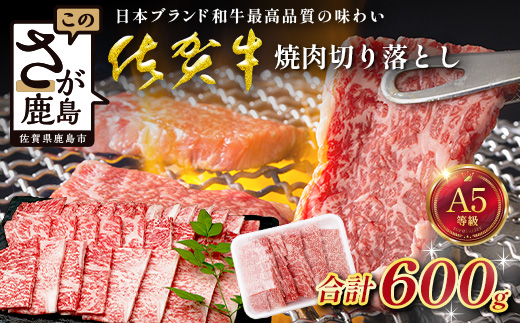 【訳あり】佐賀牛 焼肉 切り落とし 600g 牛肉 黒毛 和牛 ブランド 牛 肉 焼き肉 やきにくD-291