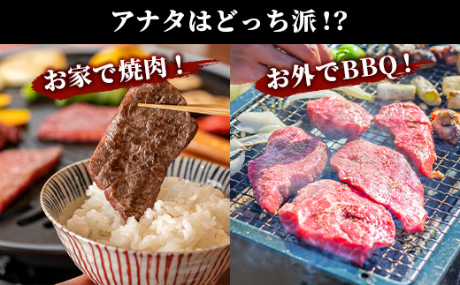 佐賀牛 焼肉セット 600g BBQ バーベキュー 焼き肉 バラ モモ D-191