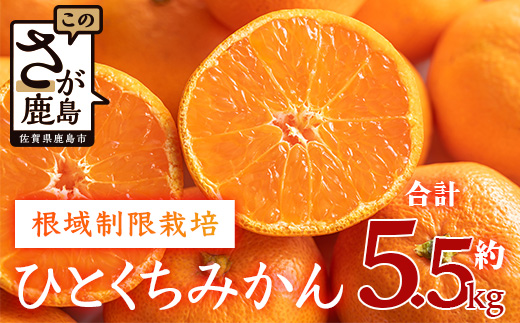 【１２月～１月上旬お届け】鹿島みかん 根域制限栽培一口みかん 約５.５ｋｇ A-178