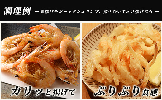 冷凍芝エビ（真エビ）1kg（500g×2パック）＆有明海産 シタビラメ約150g×2尾【有明海の恵】簡単調理 セット B-569