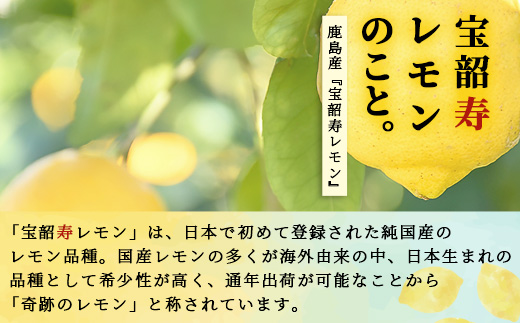 【先行予約】無添加100％ 国産 レモン果汁 720ml × 3本 セット 計2160ml | ふるさと納税 レモン レモン果汁 果汁 檸檬 れもん 宝韶寿レモン 佐賀県 鹿島市 ふるさと 人気 送料無料 B-334