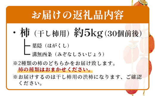 柿【干し柿用】約5kg（30個前後）渋柿 B-793