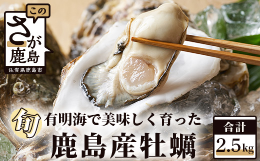 鹿島産 牡蠣 2.5kg(殻付き)【加熱調理用】品種(スミノエ)B-559