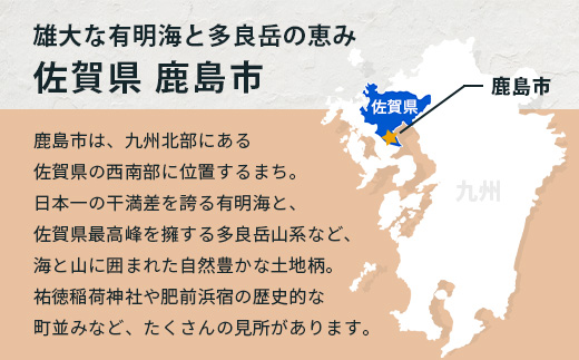 佐賀県鹿島市への寄付（返礼品はありません） 1口 5万円【返礼品なし】Z-19