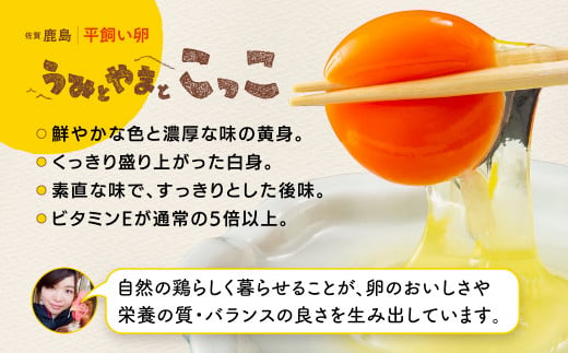 B-396【定期便】佐賀県鹿島産 平飼い卵「うみとやまとこっこ」上田養鶏場 たまご20個×2回