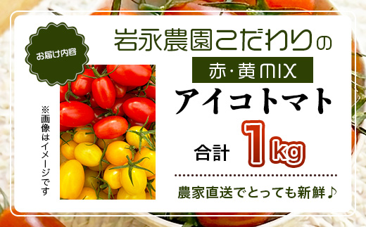 岩永さんちの カラフル ミニトマト | アイコ赤･黄MIX 1kg |【農林水産大臣賞受賞】有機肥料・化学肥料不使用 | 生産者直送 野菜 トマト 1kg とまと プチトマト サラダ やさい 旬 新鮮 おやつ お弁当 人気 佐賀県 鹿島市 B-893