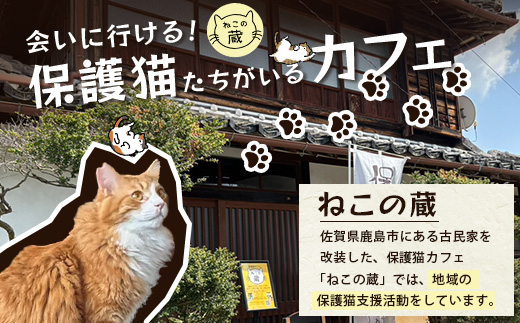 鹿島猫ステッカー（金色）or（黒色）｜保護猫カフェねこの蔵 ステッカー 保護猫 猫 古民家カフェ 支援 鹿島市 猫カフェ カフェ プレゼント　AA-62