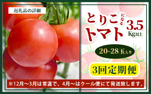 【先行予約】 たにぐちファーム とりこになるトマト【3.5kg以上×3回定期便】【2024年12月から出荷】 Ricotomato トマト C-84