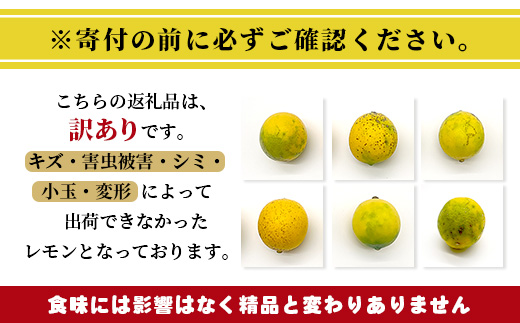 【訳あり】【産地直送】【農家直送】佐賀県鹿島市産 マイヤーレモン 5kg サイズ混合 酸味 美味しい お酒 生絞り 料理 お菓子 家庭用 【９月～2月頃まで配送】 A-191