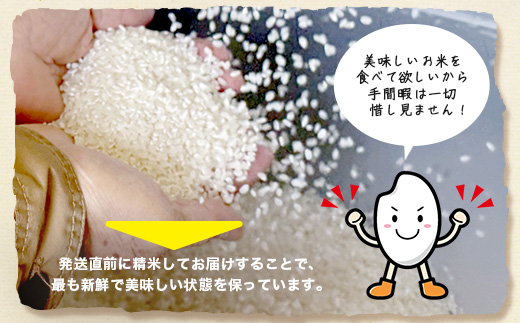 令和7年産 佐賀県産 さがびより 5kg 白米《からだ想いのピカピカさがびより》ふるさと納税 米 お米 新米 精米 国産 佐賀県 鹿島市 ふるさと 人気 送料無料 C-184