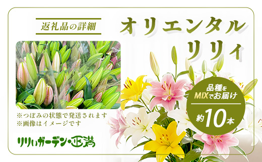 【生産者直送】【幸せと笑顔を届けるオリエンタルリリィ（約5本）】ユリ 百合 花 切り花 フラワー 艶やか 美しい 華やか 可憐 鮮やか 長持ち 強い 有機肥料 自然 人気 ラッピング プレゼント 贈り物 贈答 佐賀県 鹿島市 送料無料 D-278