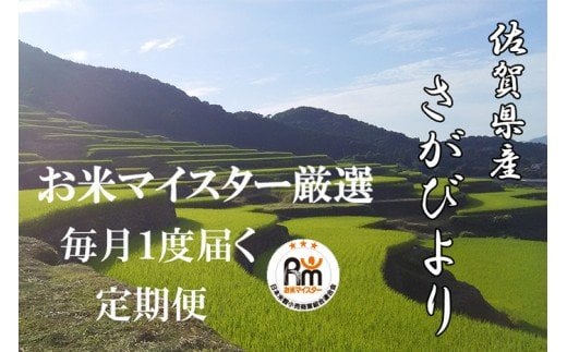 J-3 《6ヶ月定期便》鹿島市産さがびより　白米（毎月１０ｋｇ×６回）