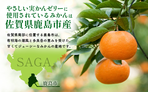 B-913 ããããå®ãããŒãªãŒ 6å ã»ãã èŽç ã®ãã å®ç æž©å·ã¿ãã äœ¿çš ä¿åæäžäœ¿çš ã¹ã€ãŒã ãã¶ãŒã