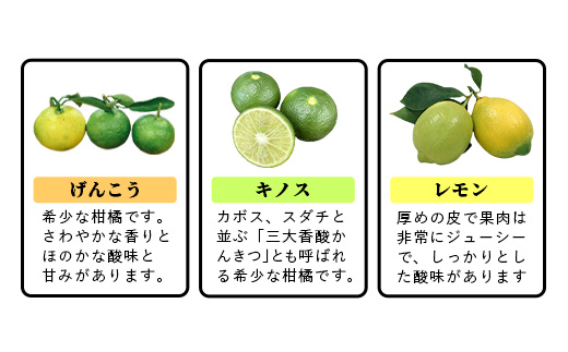 B-366 香酸柑橘類詰め合わせ 約５ｋｇ（リスボンレモン・キノス・げんこう）
