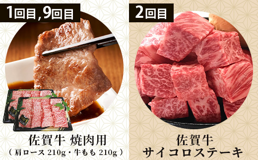 【定期便12回】佐賀の「牛・豚・鶏」食べ比べ 定期便 12ヶ月 12ヵ月 佐賀牛 ありた鶏 佐賀県産豚肉 焼き肉 焼肉 しゃぶしゃぶ ステーキ バラエティ V-44