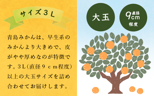 ãŸããª ææ©å㮠倧ç ã¿ãã çŽ9kg ãµã€ãº 3L (çŽåŸ9cmçšåºŠ)ä»¥äž ã2026幎1æä»¥éé
éäºå®ãéå³¶ã¿ãã ãã«ã³ èæ äœè³ç 鹿島åžç£ éæç¡æ B-262