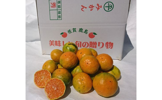 E-70 【先行予約】 平倉果樹園みかん食べ比べコース（毎月1回約5.5kg×３ヶ月お届け）