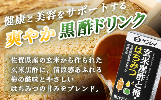 玄米黒酢と梅はちみつ 125ml×24本 3回  3カ月 定期便 清涼飲料水 飲みやすい サンレイ 紙パック 飲料 飲み物 さわやか サッパリ 健康 美容 抗酸化作用 リピーター 美味しい ストック 定期 常備 人気 送料無料 佐賀県 鹿島市 E-188