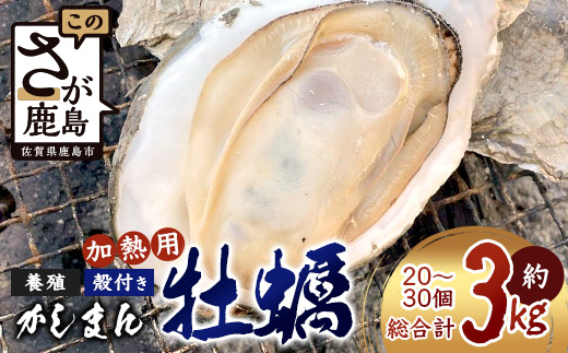 【期間限定】【牡蠣】【有明海】かしまん牡蠣(養殖）殻付き　3kg　かき　佐賀県　鹿島市　有明海　C-114