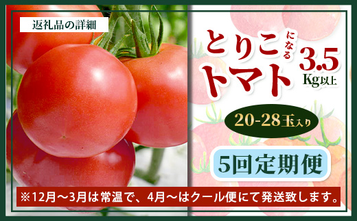 【先行予約】たにぐちファーム とりこになるトマト 【3.5kg以上×5回定期便】【2024年12月から出荷】 Ricotomato とりこになるトマト D-161