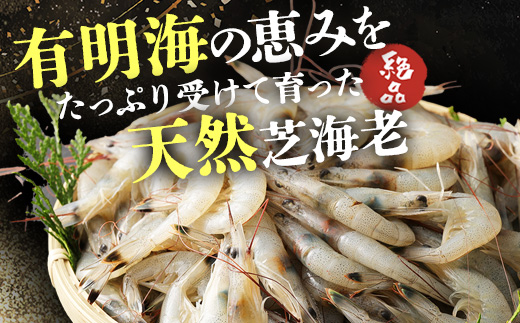 A-143ãåä»åéã å·åãã³ã»ãã(èãã³500gã»ããçãã³20å°ŸïŒ