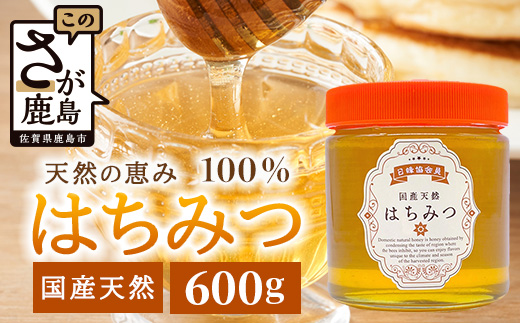 鹿島市産 天然の恵み 100% はちみつ 600g 化粧箱入 B-806 ハチミツ 蜂蜜 ハニー 天然はちみつ 天然蜂蜜 国産