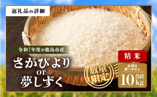 令和7年産 鹿島市産 [さがびより or 夢しずく] 10kg 1袋 【品種指定不可】 精米 白米 E-179
