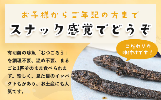A-29  丸干しむつごろう 2本入り×3袋 むつごろう ムツゴロウ おやつ おつまみ 温め不要 調理不要 有明海産 佐賀県 鹿島市 送料無料 