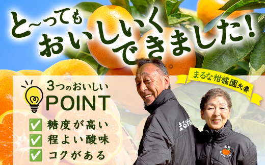 ãŸããª ææ©å㮠倧ç ã¿ãã çŽ9kg ãµã€ãº 3L (çŽåŸ9cmçšåºŠ)ä»¥äž ã2026幎1æä»¥éé
éäºå®ãéå³¶ã¿ãã ãã«ã³ èæ äœè³ç 鹿島åžç£ éæç¡æ B-262