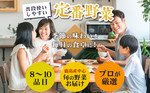 E-72 【６ヶ月お届け】野菜 旬のおまかせ野菜BOX 8~10品目 | ふるさと納税 野菜 定期便 定期 やさい 野菜セット 詰め合わせ 旬 新鮮 産地直送 大容量 ふるさと 佐賀県 鹿島市 安全安心 リピーター オススメ 人気 送料無料